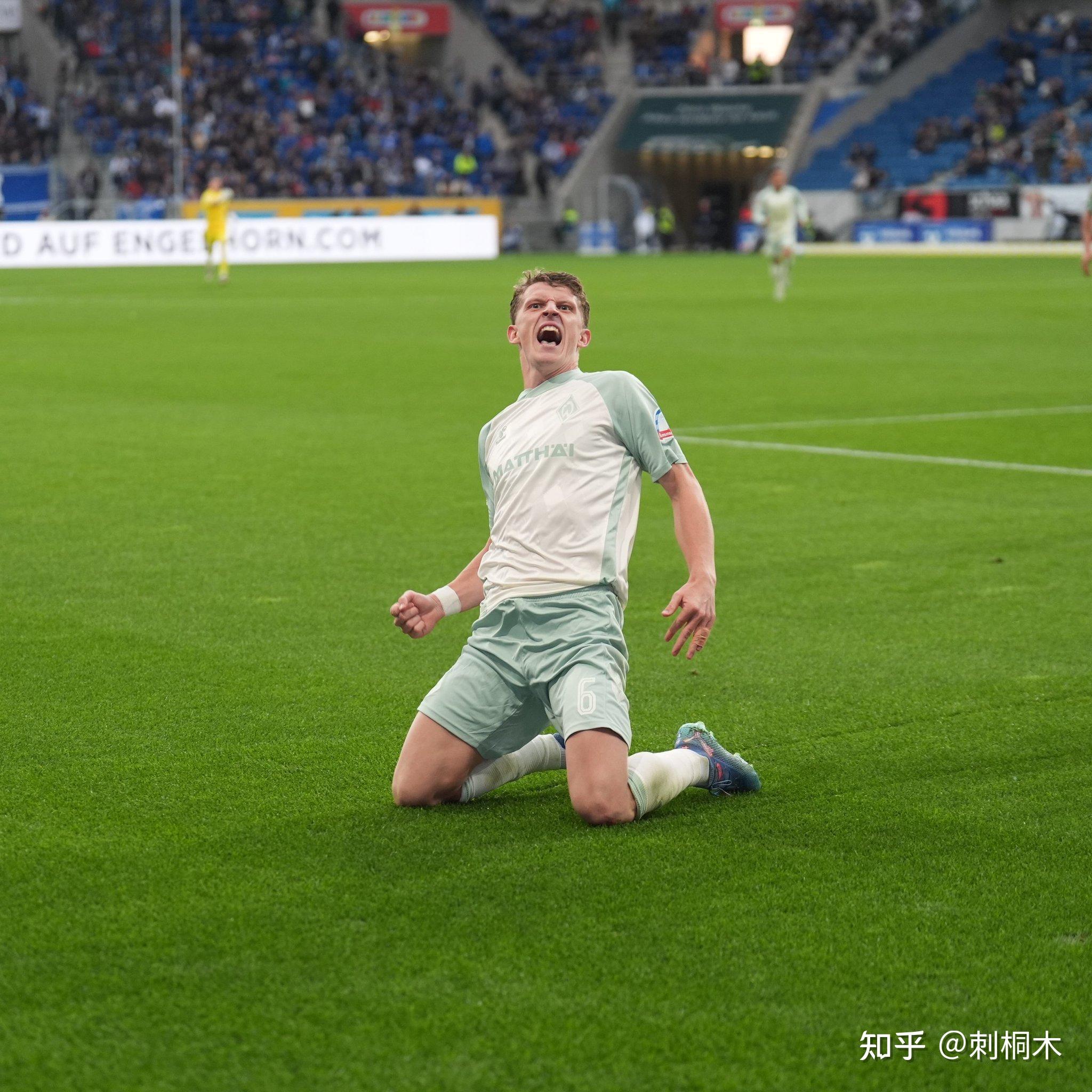 霍芬海姆前锋连场破门，刷新个人进球纪录的简单介绍